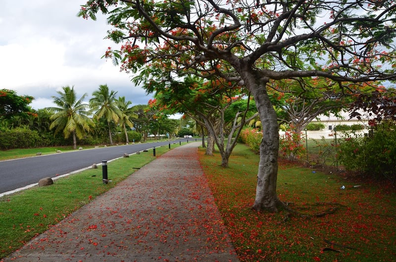 Fiji