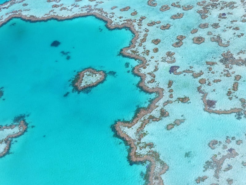 Great Barrier Reef Diving